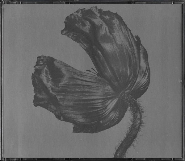 Pet Shop Boys - Release/Further Listening 2001-2004 (2017 3 CD Set) Mint