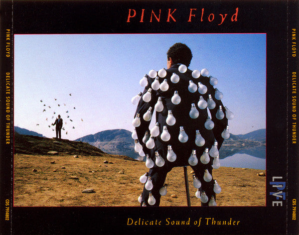 Pink Floyd - Delicate Sound of Thunder (1988 'Fatboy' DCD) NM