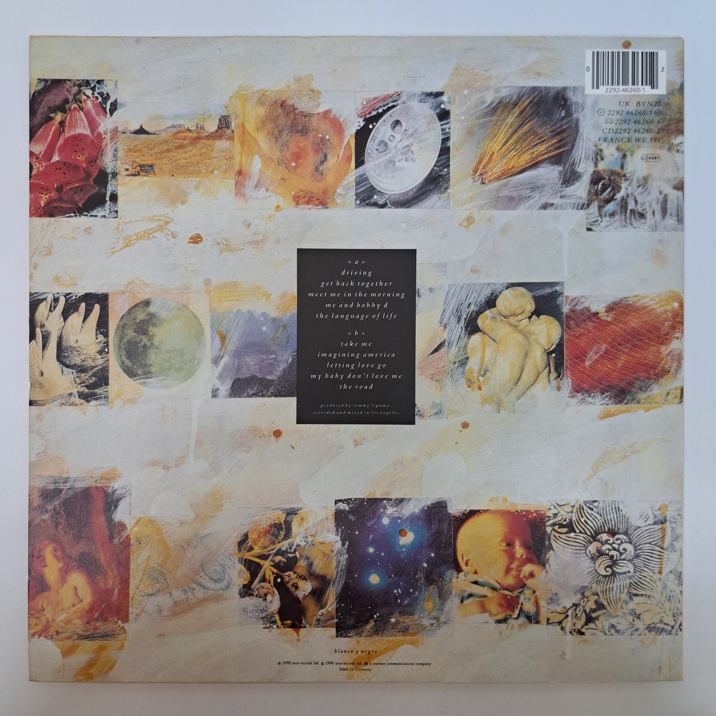 Everything But the Girl - The Language of Life (Vinyl LP 1990) EX/EX