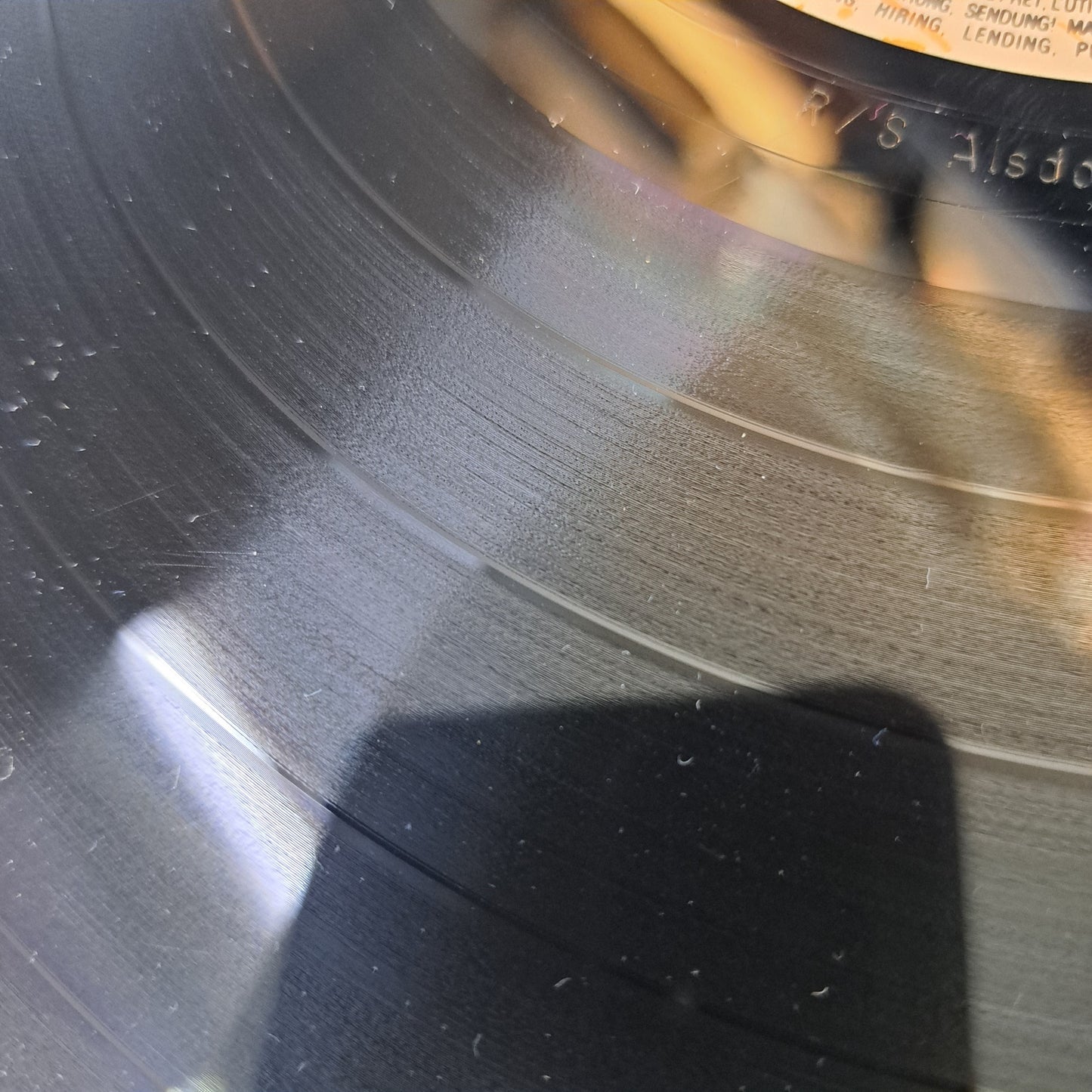 Everything But the Girl - The Language of Life (Vinyl LP 1990) EX/EX