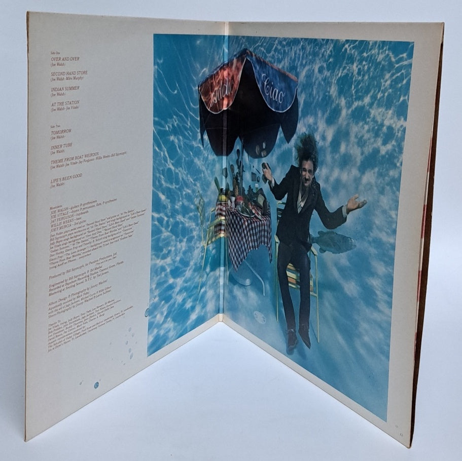 Joe Walsh - "But Seriously Folks..." (Vinyl LP 1978 UK) EX/VG+