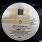 Level 42 - Running in the Family (Limited Edition Vinyl 2 x 12" Single) EX/EX/VG+