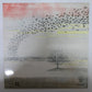 Genesis - Wind and Wuthering (Vinyl LP Portugal 1977) NM/NM
