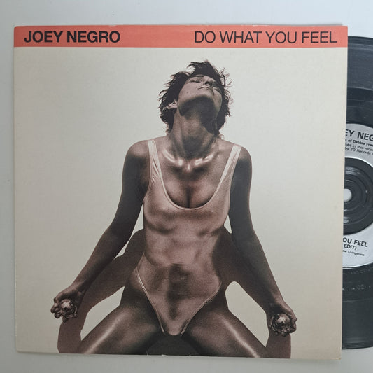 Joey Negro - Do What You Feel (Vinyl 7" Single) EX/NM