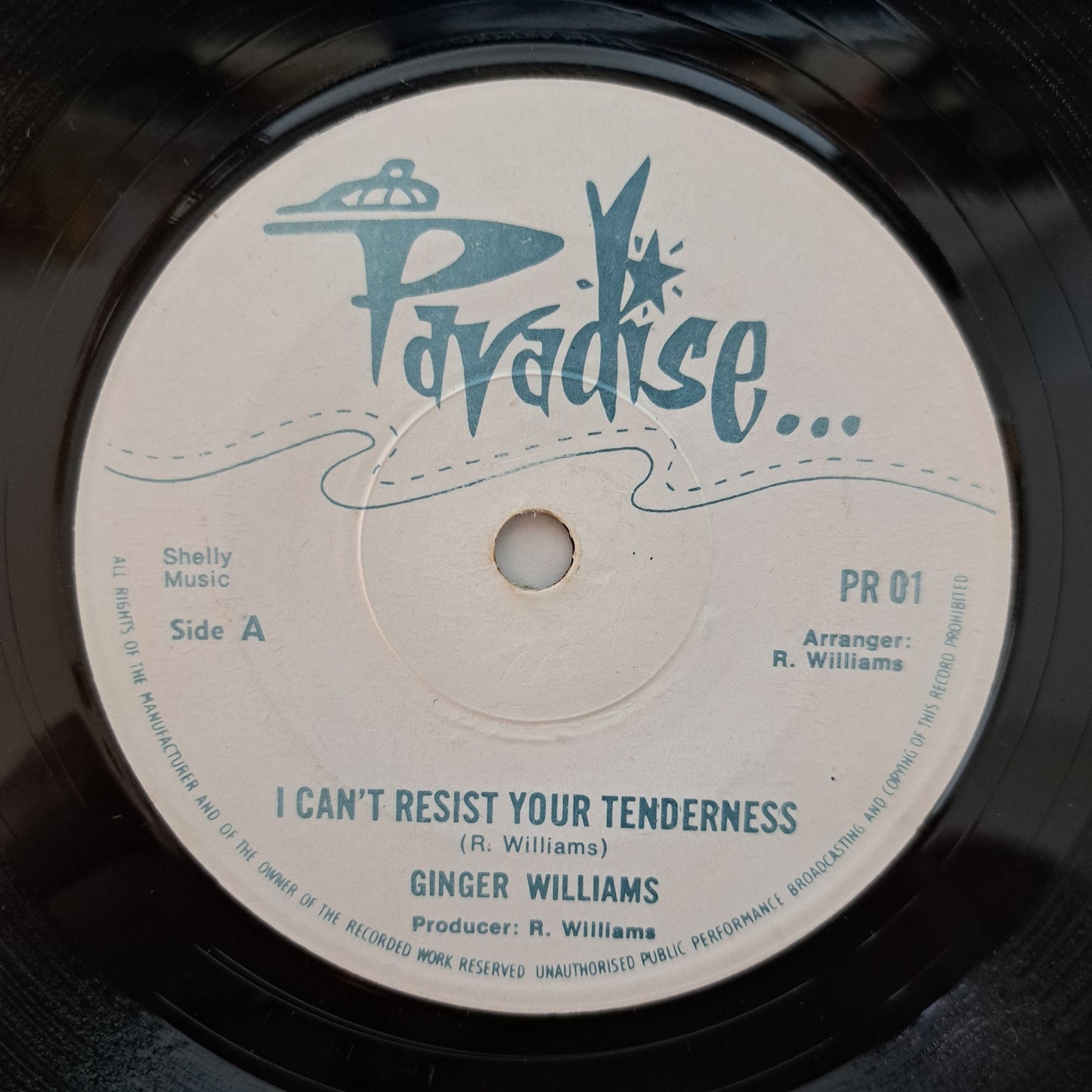 Ginger Williams - I Can't Resist Your Tenderness (Vinyl 7" Reggae Single) EX