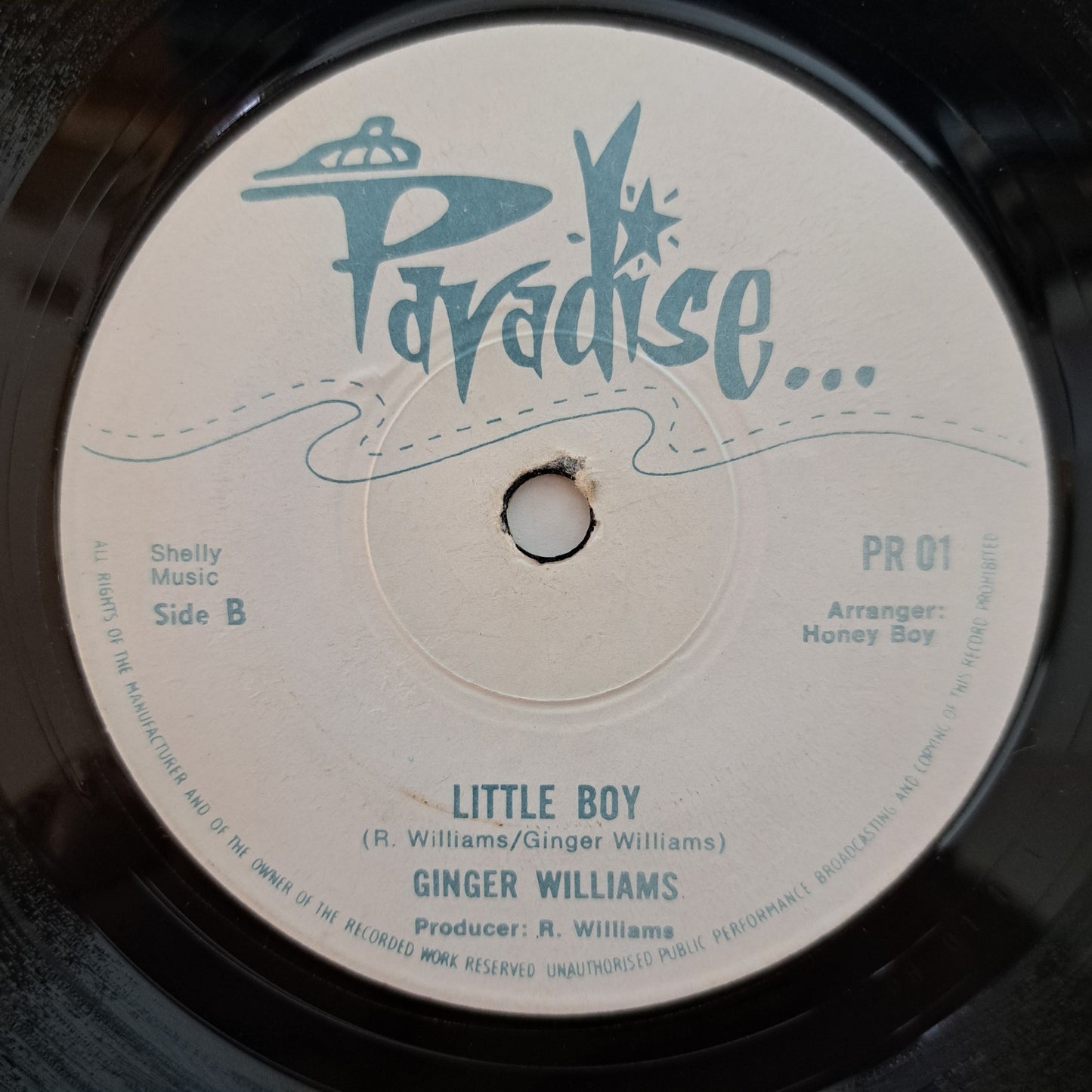 Ginger Williams - I Can't Resist Your Tenderness (Vinyl 7" Reggae Single) EX