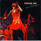 Vinegar Joe - Rock 'n Roll Gypsies (2004 CD) NM