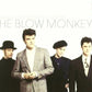 Blow Monkeys - Digging Your Scene ~ The Best of (2008 DCD) Mint