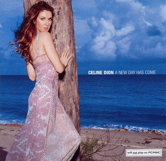 Celine Dion - A New Day Has Come (CD Album) VG