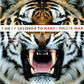 Thirty Seconds to Mars - This is War (2009 CD 'Red') Mint