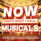 Various - Now Thats What I Call Musicals  (2012 DCD) Mint