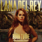 Lana Del Rey - Born to Die (Paradise Edition Double CD) VG+