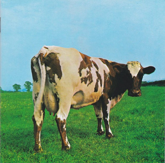 Pink Floyd - Atom Heart Mother (1994 CD) NM