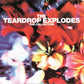 Teardrop Explodes - The Collection (2002 CD) VG+