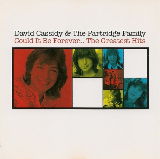 David Cassidy / Partridge Family - The Greatest Hits (2006 CD) NM