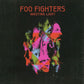 Foo Fighters - Wasting Light (2011 CD) VG+