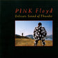 Pink Floyd - Delicate Sound of Thunder (1988 'Fatboy' DCD) NM