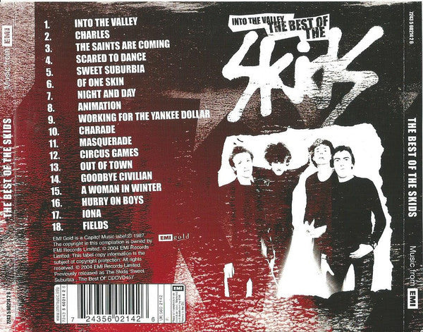 Skids - Into The Valley ~ Best Of (2005 CD) Mint