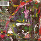 Cure - Mixed Up (1990 CD) VG+