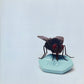 Red Hot Chili Peppers - I'm With You (2011 CD) Mint