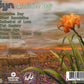 Syn - Armistice Day (2007 CD) VG+