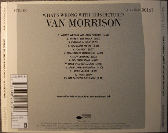 Van Morrison - What's Wrong with this Picture (2003 CD) VG+