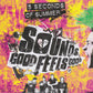 5 Seconds of Summer - Sounds Good Feels Good (2015 Deluxe Edition CD) Mint