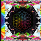 Coldplay - A Head Full of Dreams (2015 CD) Mint